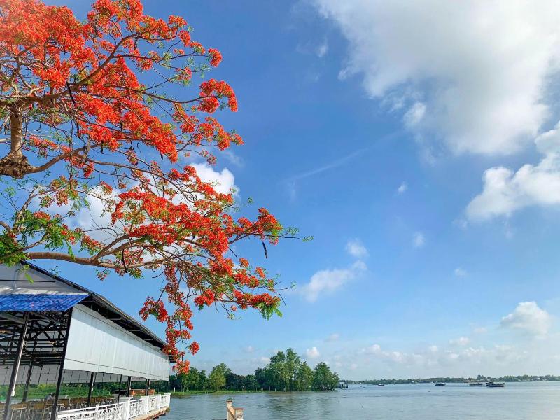 Tây Nam 2 Hotel - image 16