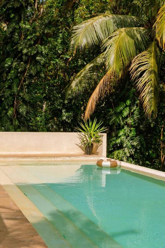 Luxury Villa in Jungle Setting with Infinity Pool and Firepit - image 4