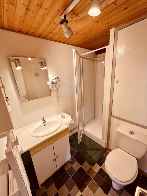 Duplex apartment facing the lake of Gérardmer - image 6