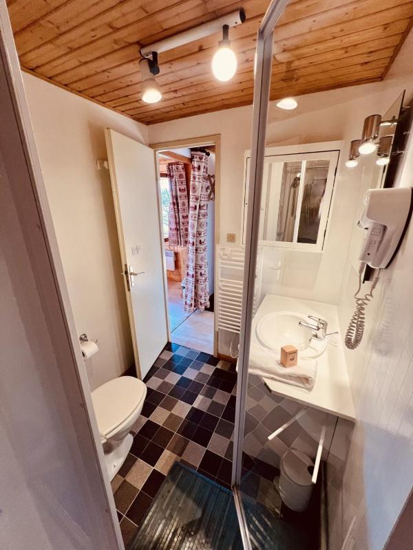 Duplex apartment facing the lake of Gérardmer - image 8