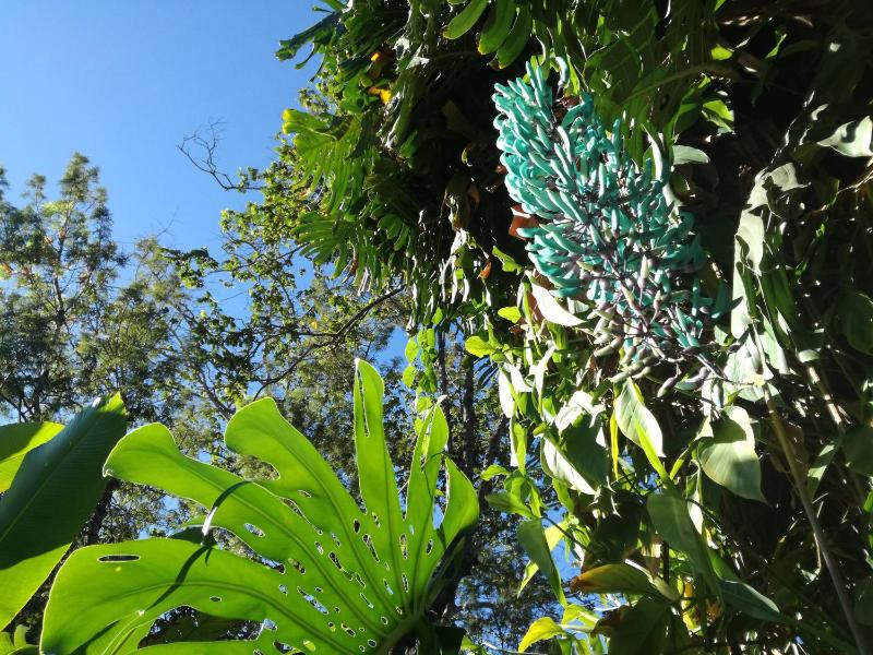 Hotel Las Farolas - image 5