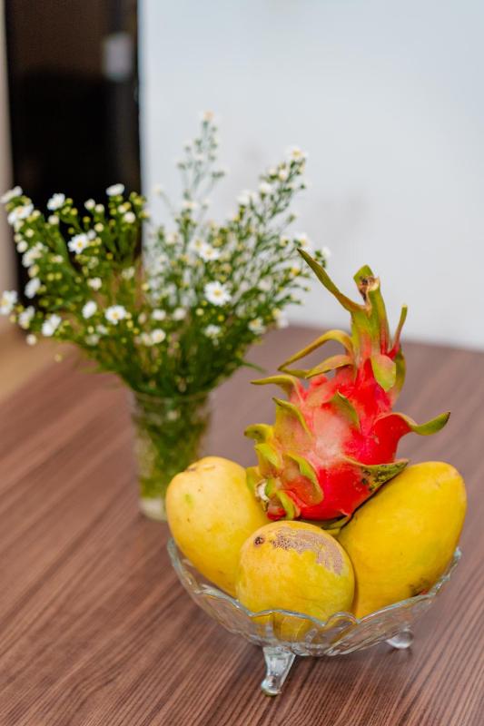 Jenny Virgo Apartment Nha Trang Beach - image 2