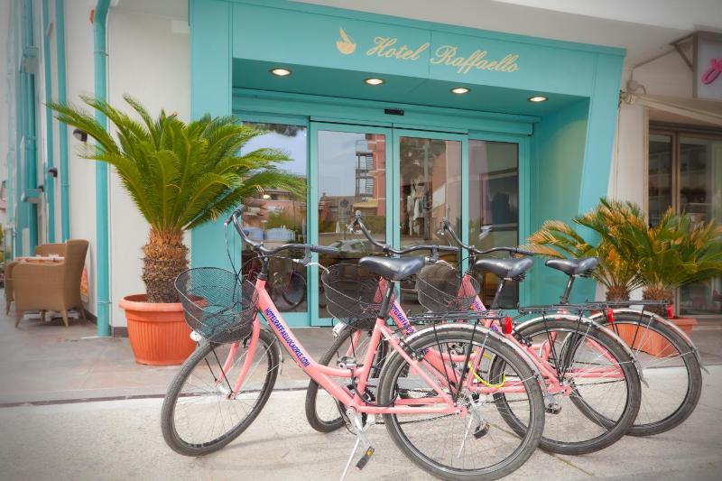 Hotel Raffaello - image 49