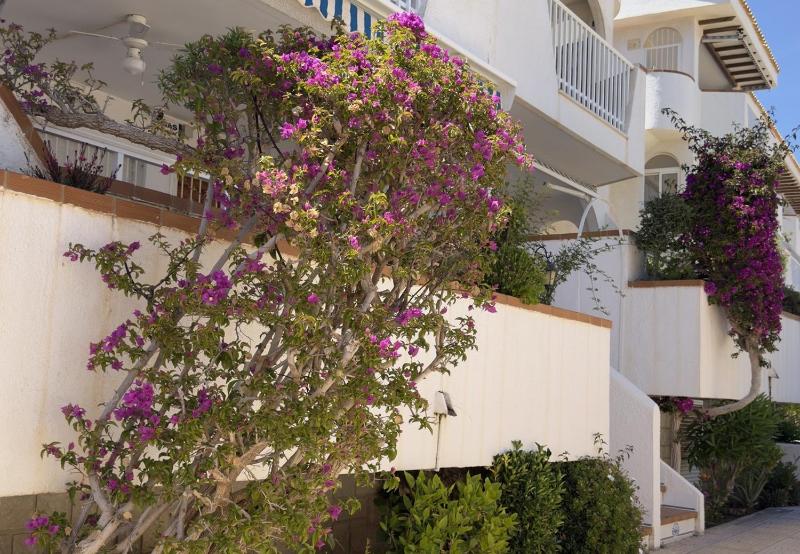 BR1 AquaMarina Campoamor Beach - image 9