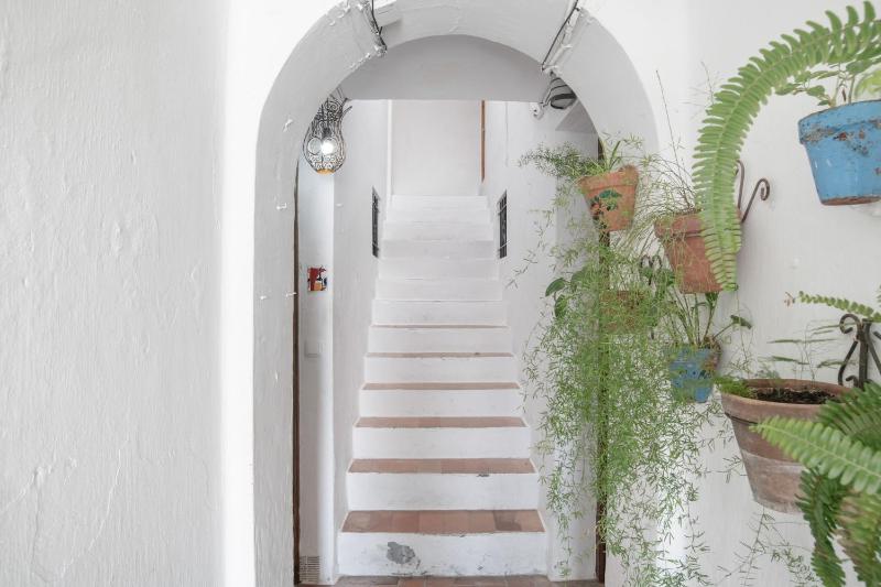 Vejer de la frontera 100 pza España - image 9