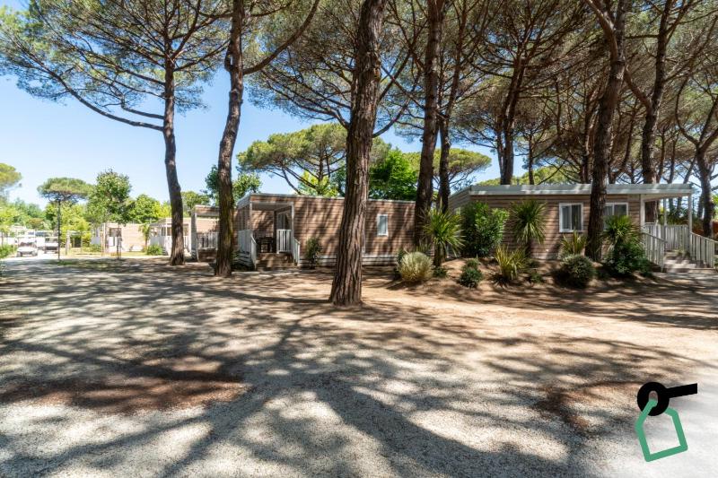 Hotiday Lodge Viareggio - image 29