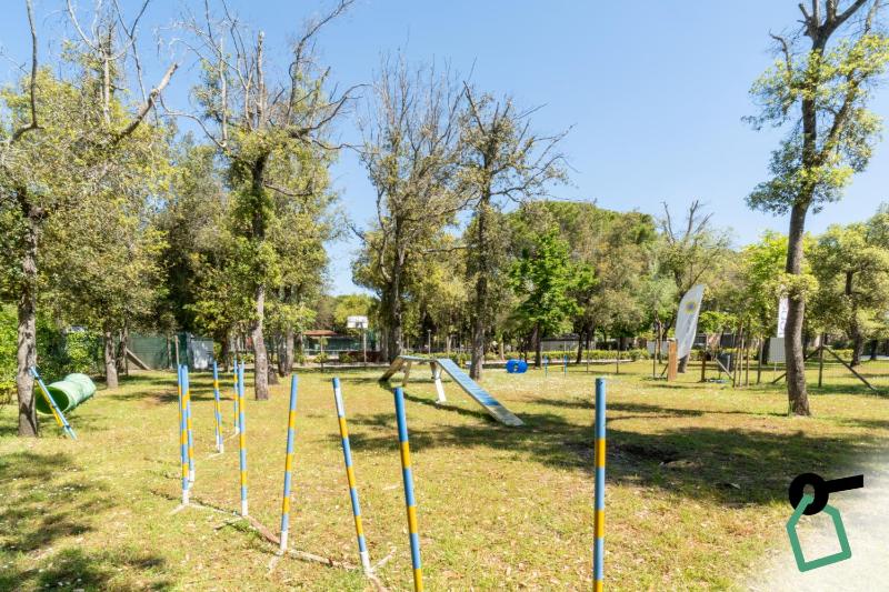 Hotiday Lodge Viareggio - image 34