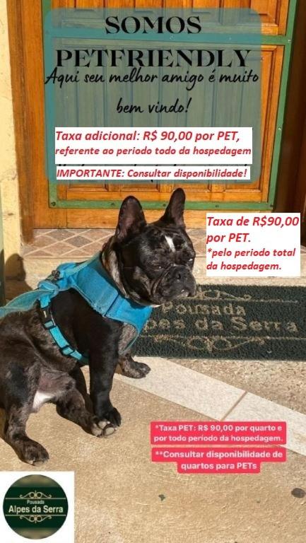 Pousada Alpes da Serra Campos do Jordão - image 19
