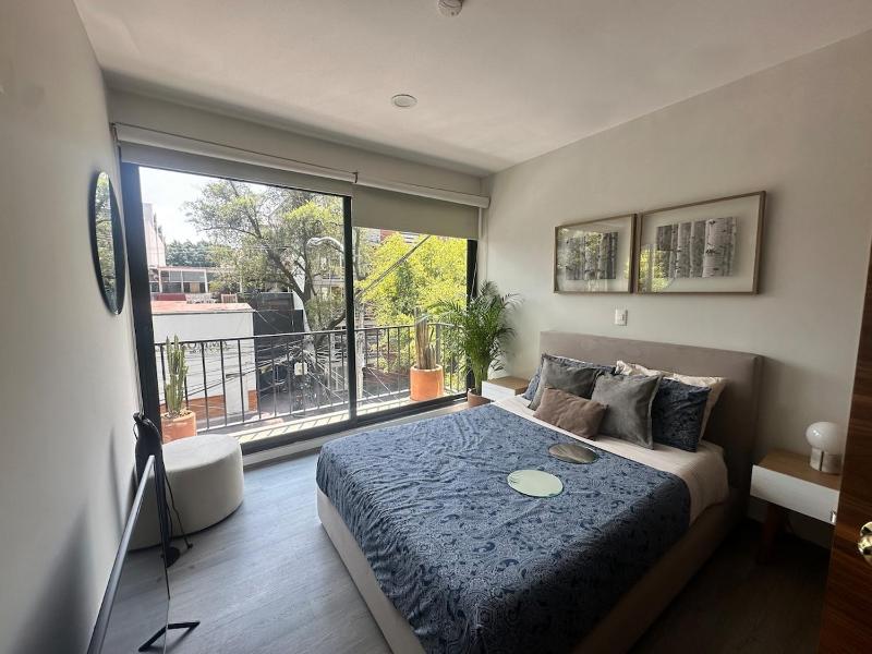 3br with a private terrace Roma norte - image 7