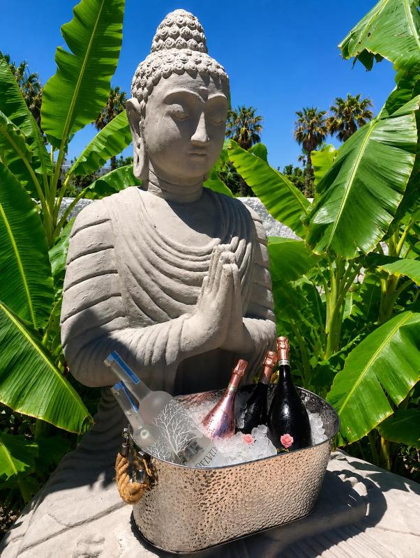 BLACK AMBER BOUTIQUE HOTEL - image 34