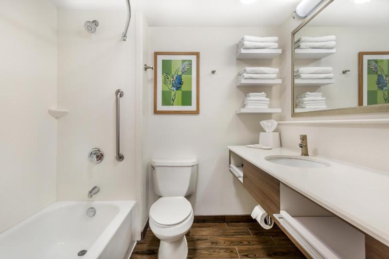Hampton Inn Tampa-International Airport/Westshore - image 32