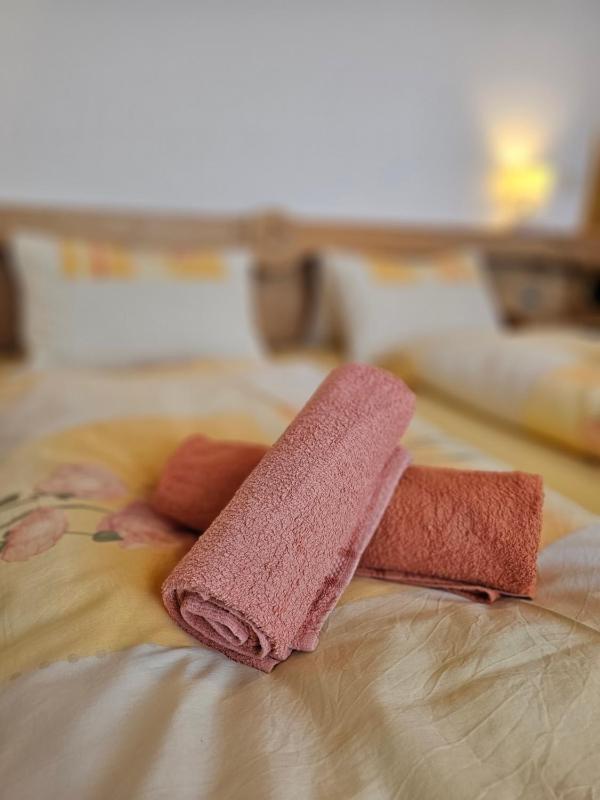 Pension Schachner - image 31