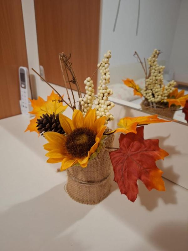 Holiday House Snjezana - image 15