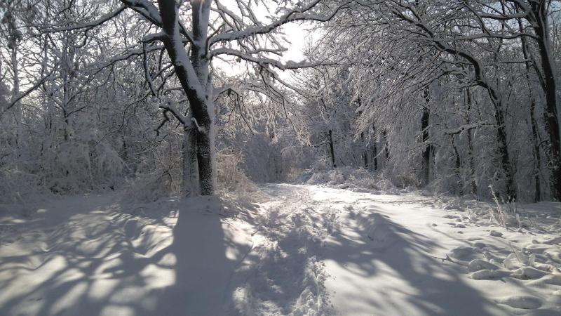 Studio Apartment image 1