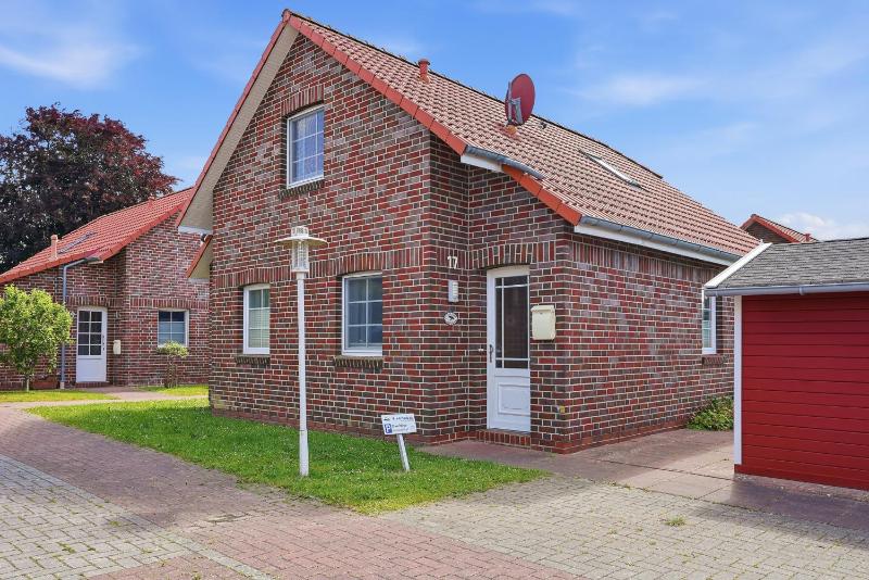 Blaue Möwe - image 26