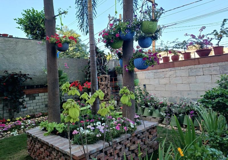 Chinar Homes Amritsar - image 9