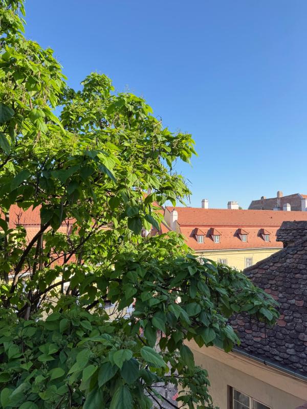 Casa Weidner Hotel Sibiu - image 30