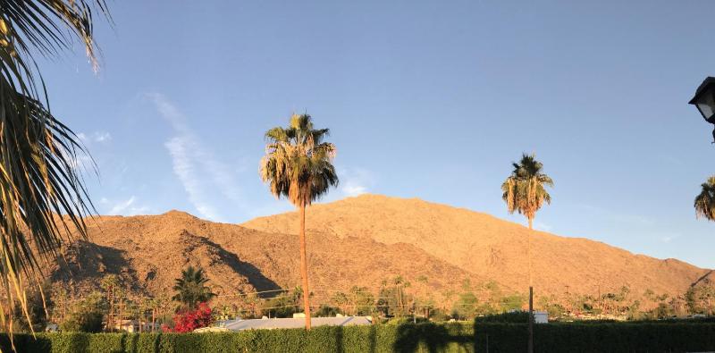 Delos Reyes Palm Springs - image 37