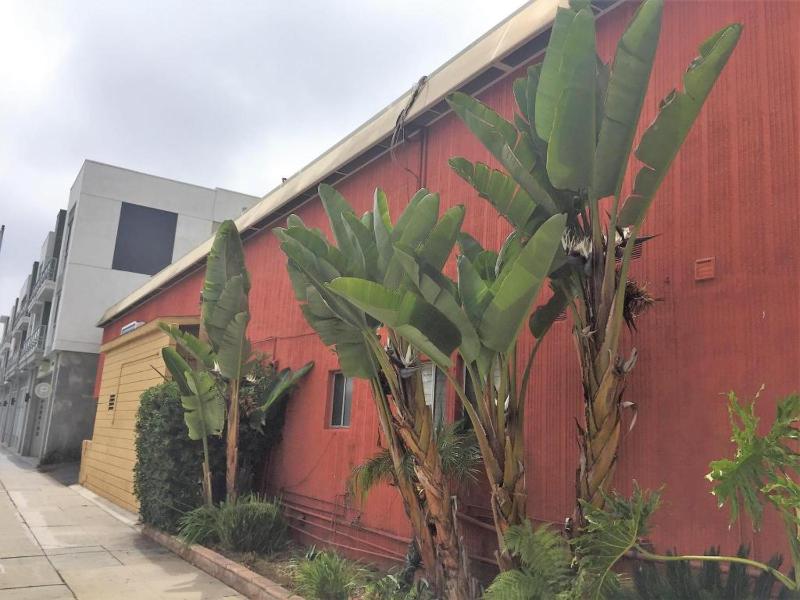 Rodeway Inn Near Venice Beach - image 6