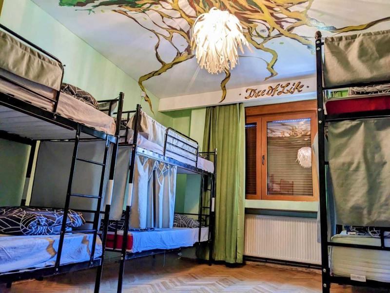 The Re-Born Hostel - image 14