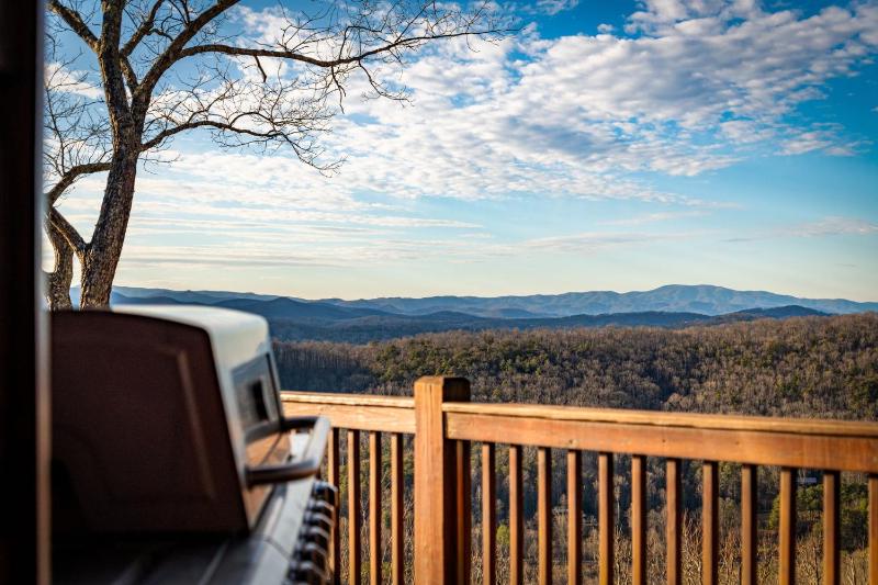 Bear Tree Lodge - image 5