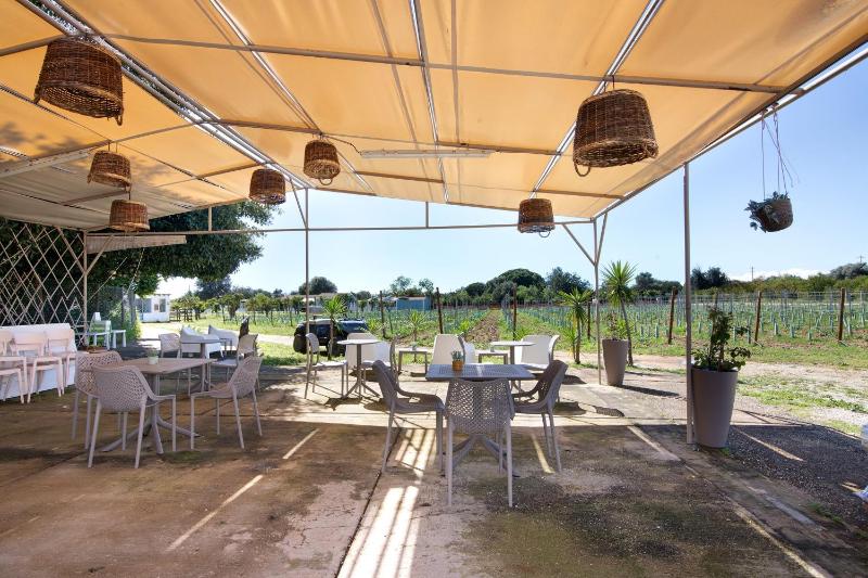Casa Xarém - Vinhas de Nexe - image 15