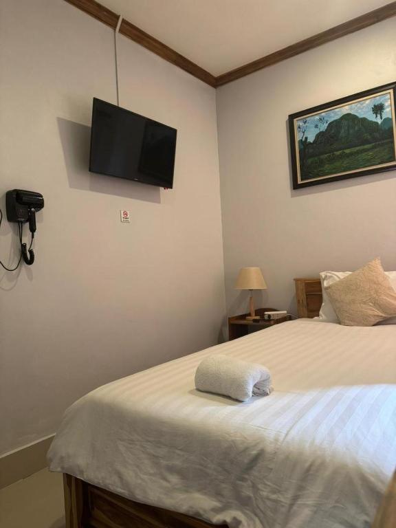 Luang Prabang Mountain View Hostel - image 13