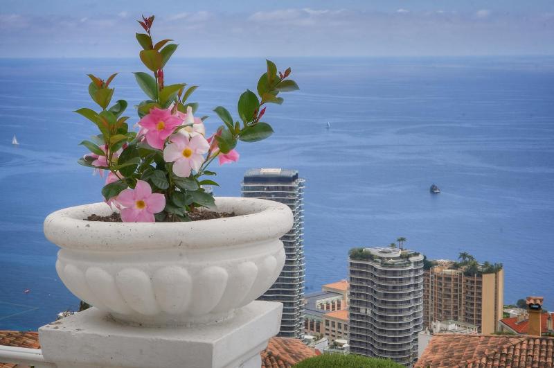 FRGK MONACO Magnificent See View Villa - image 31