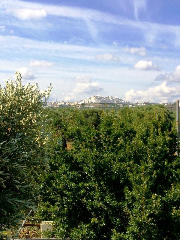 Two-Bedroom House image 2