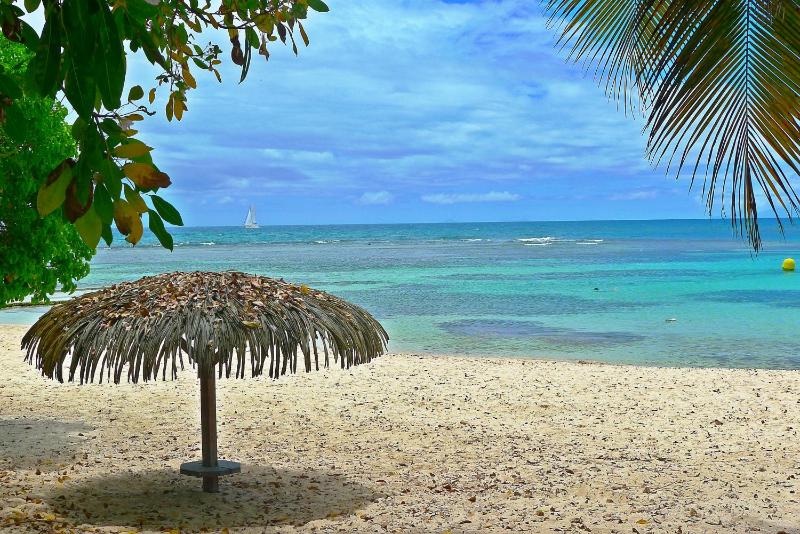 Anse des Rochers-Studio Zabrico - image 14