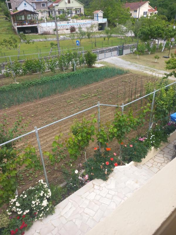 Apartmani Roki - image 11