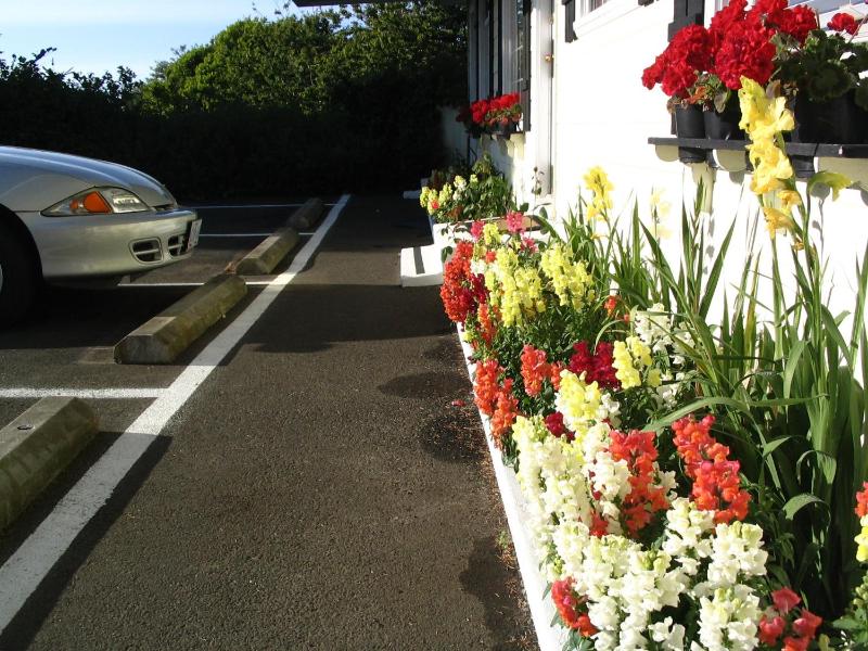 Captain Cook Inn - image 24