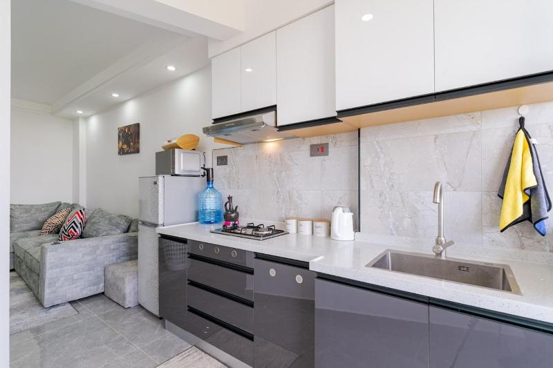 1 bedroom on high floors - image 16