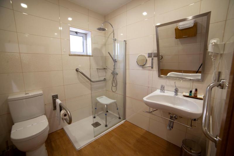 Twin Room - Disability Access image 1