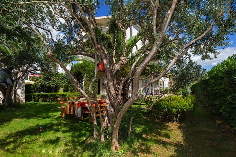 Hostel Oktarin - image 8