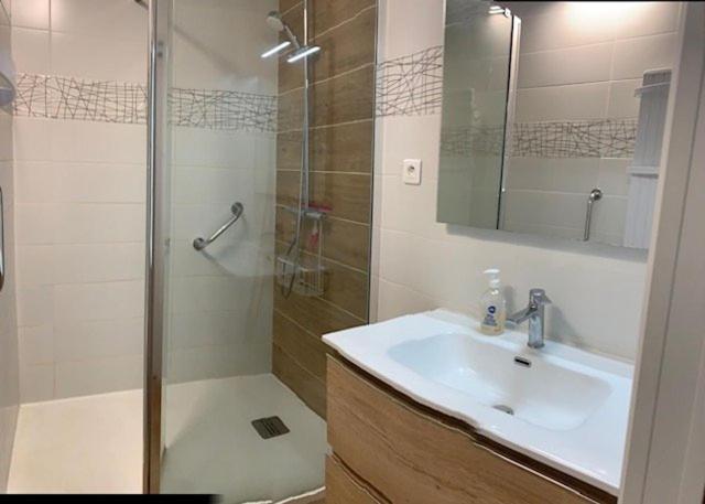 694 Héliopolis AB Appartement 2-4 pers vue jardin et mer - image 6