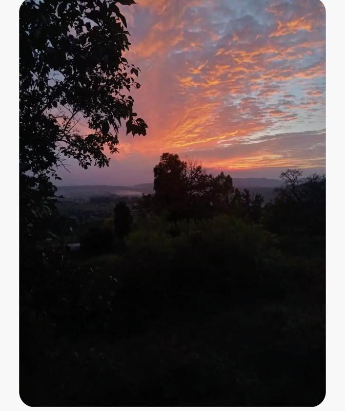 The Unhurried Stay - image 11