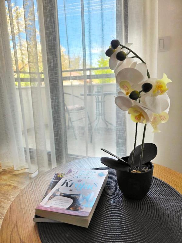 Apartman Petrus 1 - image 8