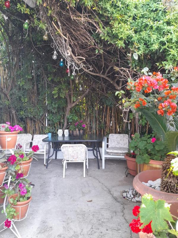 Iliada Skiathos rooms - image 22
