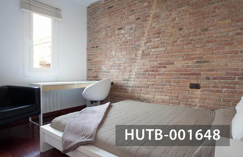 One-Bedroom Apartment, Ricart 30 image 4