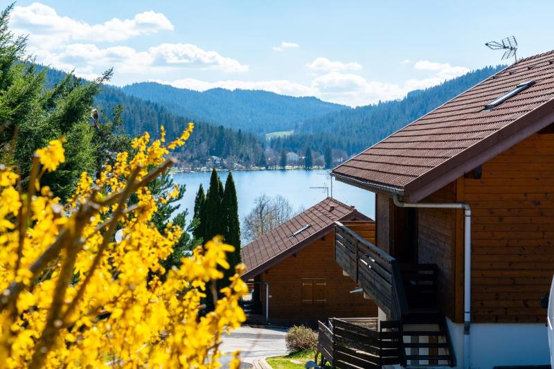 Cosy and exotic apartment - view on the lake - image 10