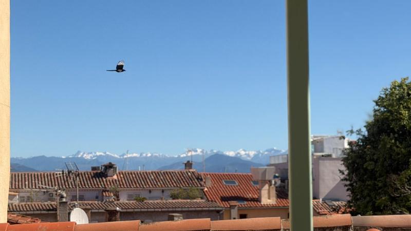 Le Rooftop Antibois - Au cœur du Vieil Antibes - image 21