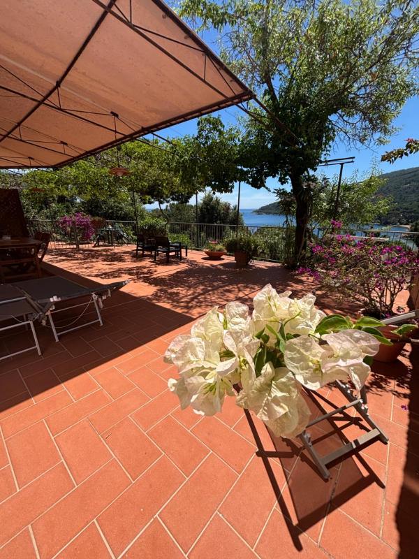 Casa Perla - image 24