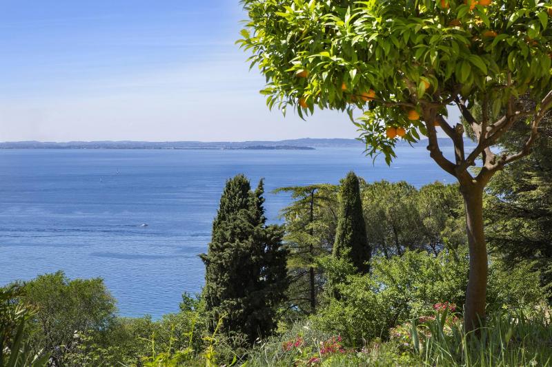 Apartment Agave with Lake View - image 21