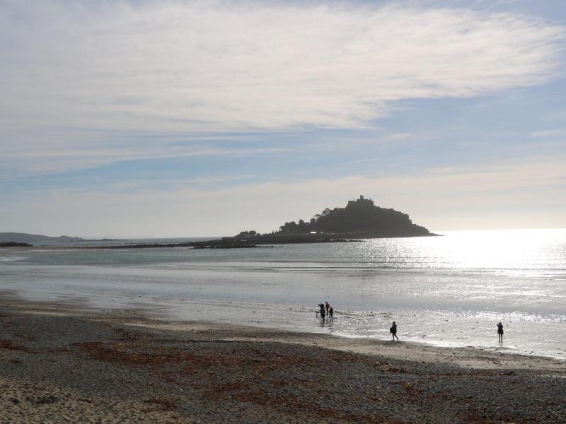 Kittiwake - image 14