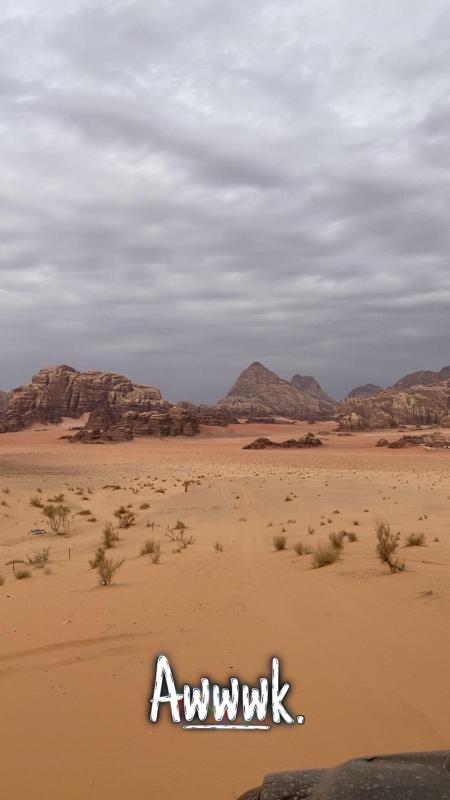 A simple life Wadi Rum - image 6