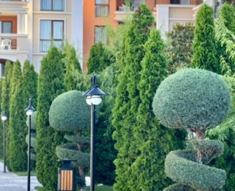 Prestige Fort Sveti Vlas Aparthotel 1 bedroom 4 people - image 48