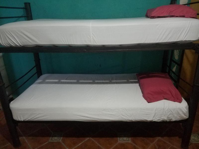 hostal la playa vallarta - image 13