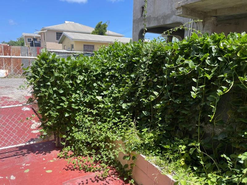 ROANA APTS 2 Bedroom Upstairs Apt Centrally located with Air Condition - image 2