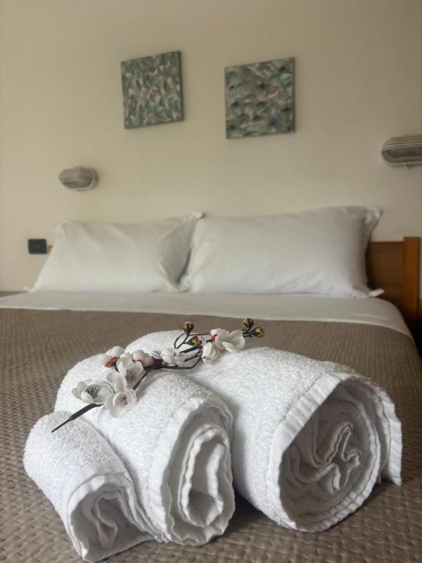 Hotel Dream - image 8